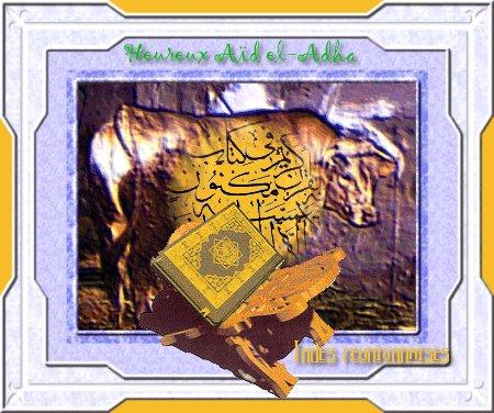 SAHA AIDKOUM !