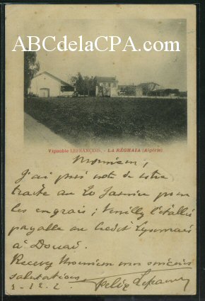 Carte Postale Ancienne  : REGHAIA