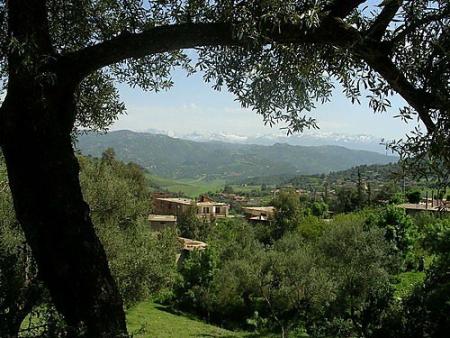 Mon blog...