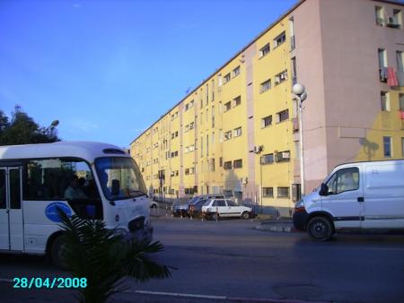 Cité cinéstal   Batiment J...Réghaia